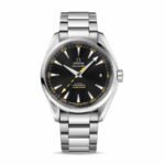 Omega Seamaster Aqua Terra Co-Axial Master Chronometer 231.10.42.21.01.002 Authentic Clone 1:1
