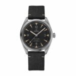 Omega Railmaster Co-Axial Master Chronometer Black Dial 220.12.40.20.01.001 Detailed Replica