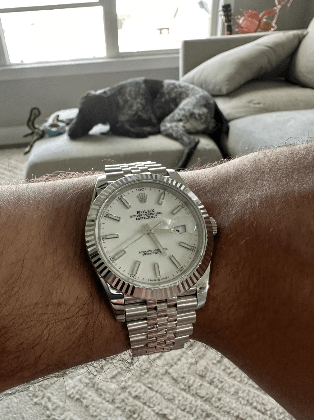 Customer Review - Omega Seamaster